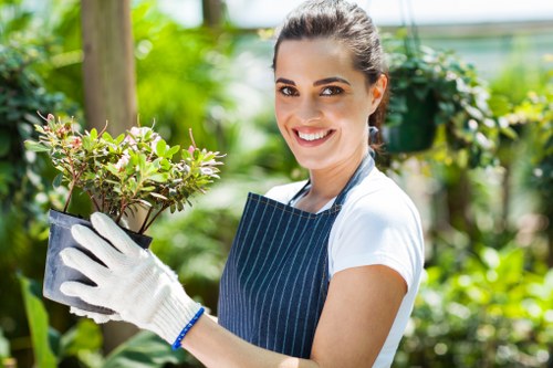 Healthy mature trees maintained by experienced Turnham Green surgeons