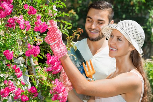 Tree surgeons handling a quotation, payment, and service plan