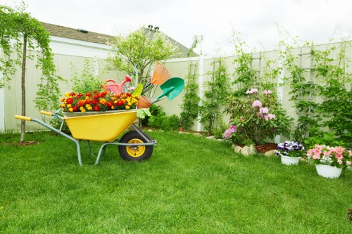 Professional arborist pruning branches for safety and health