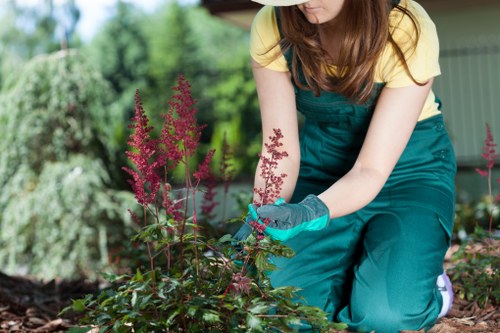 Local arborists assessing tree health and structure